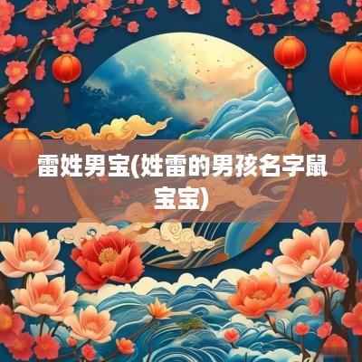 雷姓男宝(姓雷的男孩名字鼠宝宝)