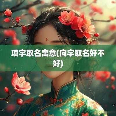 项字取名寓意(向字取名好不好)