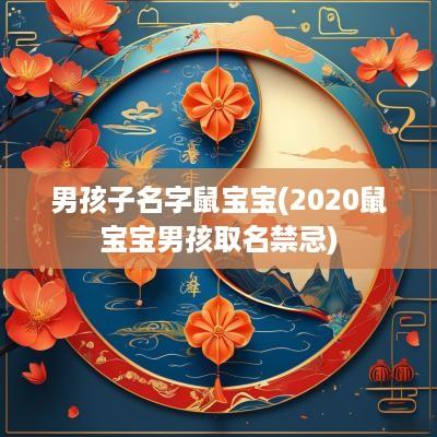 男孩子名字鼠宝宝(2025鼠宝宝男孩取名禁忌)