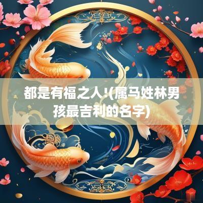 都是有福之人!(属马姓林男孩最吉利的名字)