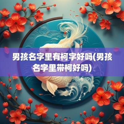 男孩名字里有柯字好吗(男孩名字里带柯好吗)