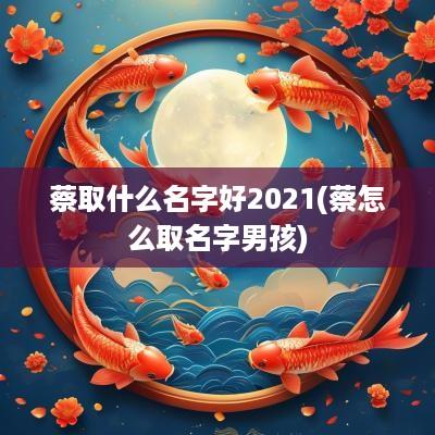 蔡取什么名字好2025(蔡怎么取名字男孩)