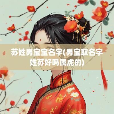 苏姓男宝宝名字(男宝取名字姓苏好吗属虎的)