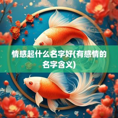 情感起什么名字好(有感情的名字含义)
