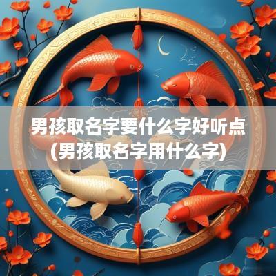 男孩取名字要什么字好听点(男孩取名字用什么字)