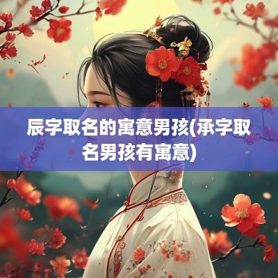 辰字取名的寓意男孩(承字取名男孩有寓意)
