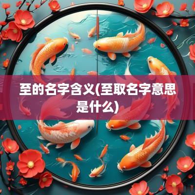 至的名字含义(至取名字意思是什么)