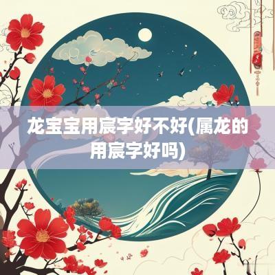 龙宝宝用宸字好不好(属龙的用宸字好吗)