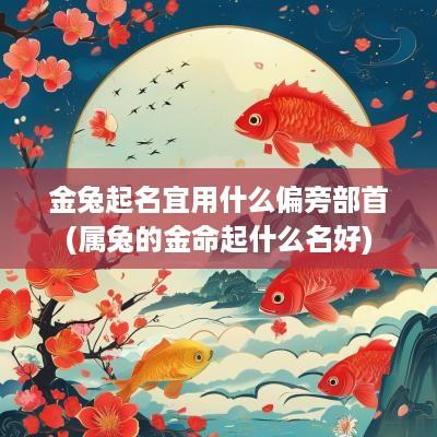 金兔起名宜用什么偏旁部首(属兔的金命起什么名好)