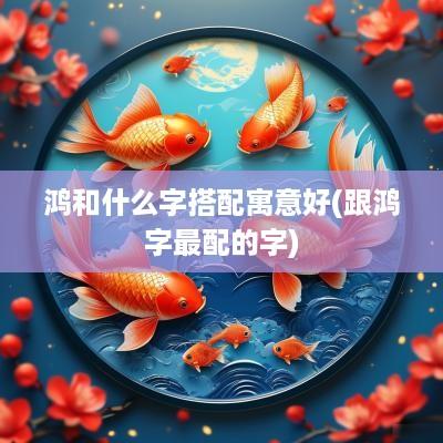 鸿和什么字搭配寓意好(跟鸿字最配的字)