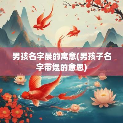 男孩名字晨的寓意(男孩子名字带煜的意思)