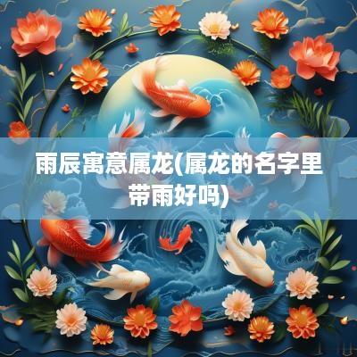 雨辰寓意属龙(属龙的名字里带雨好吗)