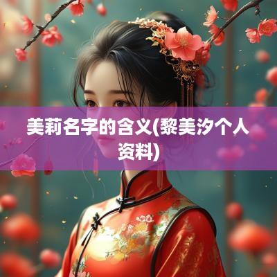 美莉名字的含义(黎美汐个人资料)