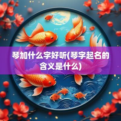 琴加什么字好听(琴字起名的含义是什么)