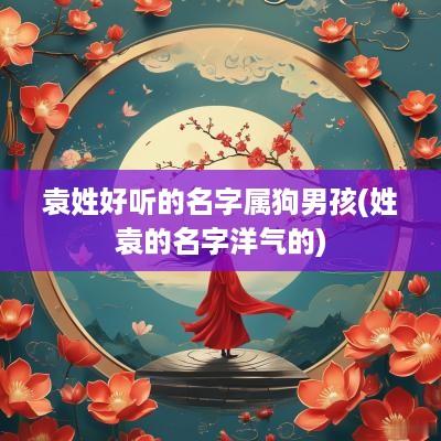 袁姓好听的名字属狗男孩(姓袁的名字洋气的)