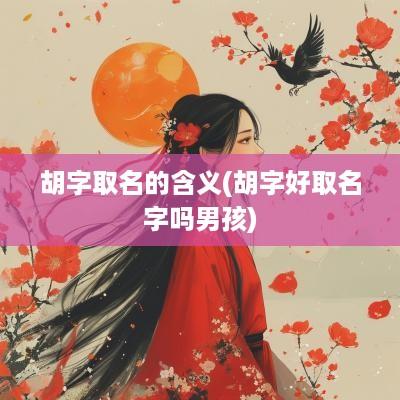 胡字取名的含义(胡字好取名字吗男孩)