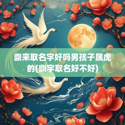 鼎来取名字好吗男孩子属虎的(鼎字取名好不好)