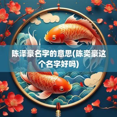 陈泽豪名字的意思(陈奕豪这个名字好吗)