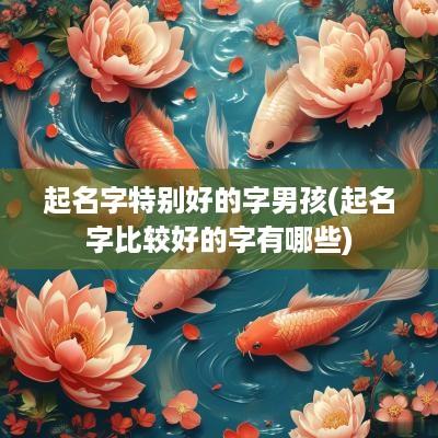 起名字特别好的字男孩(起名字比较好的字有哪些)