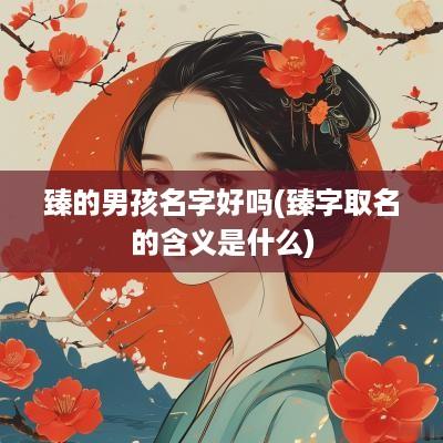 臻的男孩名字好吗(臻字取名的含义是什么)