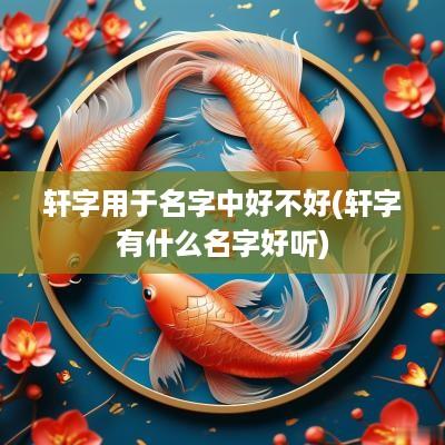 轩字用于名字中好不好(轩字有什么名字好听)