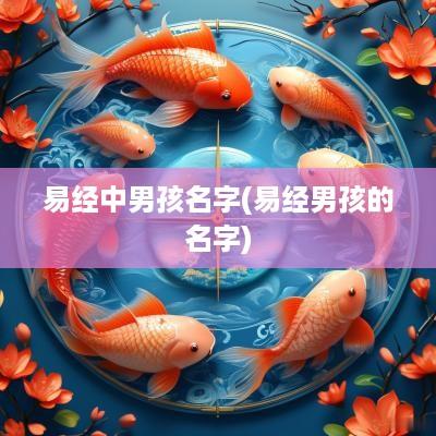 易经中男孩名字(易经男孩的名字)