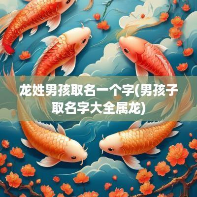 龙姓男孩取名一个字(男孩子取名字大全属龙)
