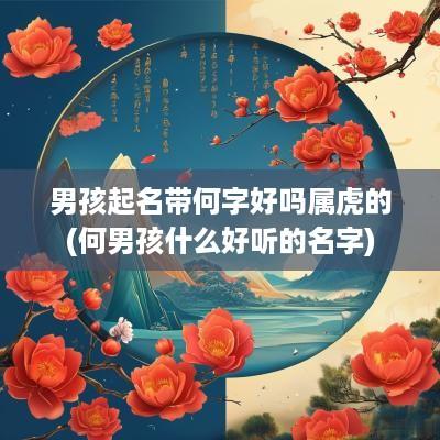 男孩起名带何字好吗属虎的(何男孩什么好听的名字)