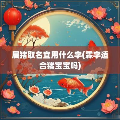 属猪取名宜用什么字(霖字适合猪宝宝吗)
