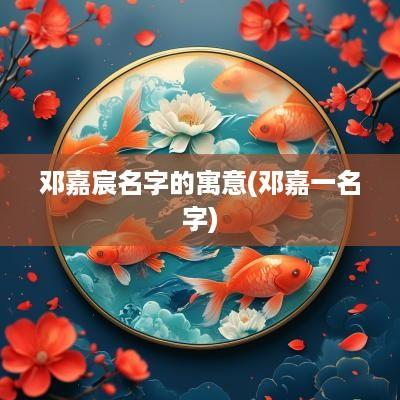 邓嘉宸名字的寓意(邓嘉一名字)