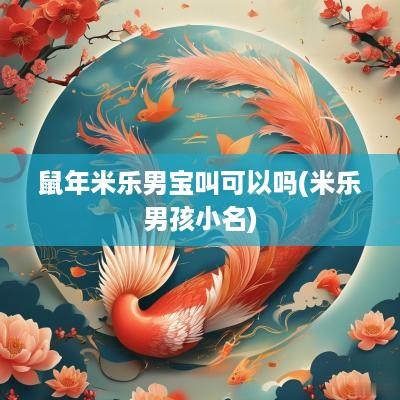 蛇年米乐男宝叫可以吗(米乐男孩小名)
