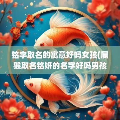铭字取名的寓意好吗女孩(属猴取名铭妍的名字好吗男孩)