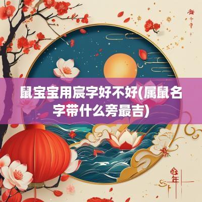 鼠宝宝用宸字好不好(属鼠名字带什么旁最吉)