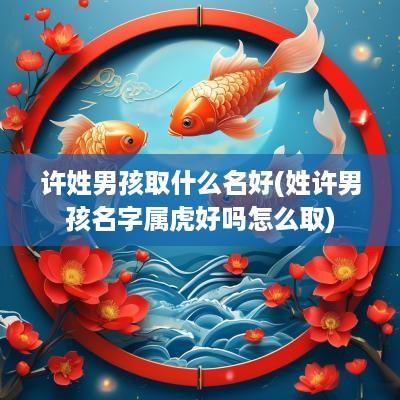 许姓男孩取什么名好(姓许男孩名字属虎好吗怎么取)