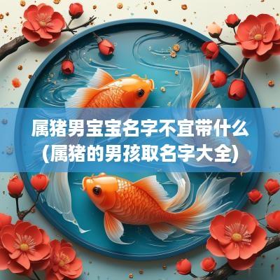 属猪男宝宝名字不宜带什么(属猪的男孩取名字大全)