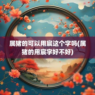 属猪的可以用宸这个字吗(属猪的用宸字好不好)