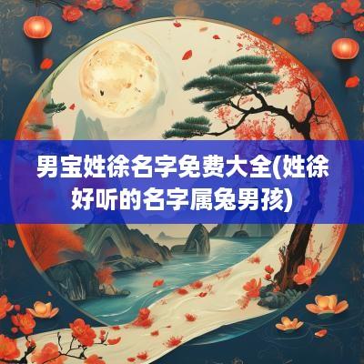 男宝姓徐名字免费大全(姓徐好听的名字属兔男孩)