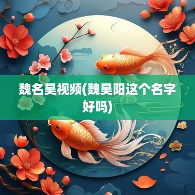 魏名昊视频(魏昊阳这个名字好吗)