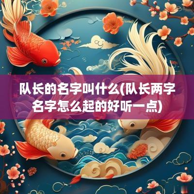 队长的名字叫什么(队长两字名字怎么起的好听一点)