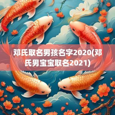 邓氏取名男孩名字2025(邓氏男宝宝取名2025)