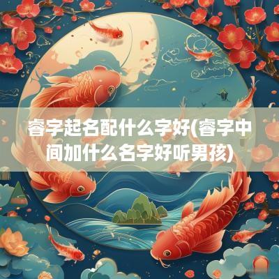 睿字起名配什么字好(睿字中间加什么名字好听男孩)