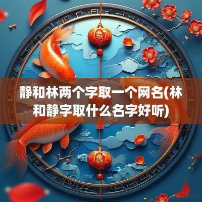 静和林两个字取一个网名(林和静字取什么名字好听)