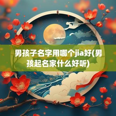 男孩子名字用哪个jia好(男孩起名家什么好听)