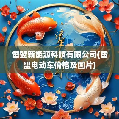雷盟新能源科技有限公司(雷盟电动车价格及图片)