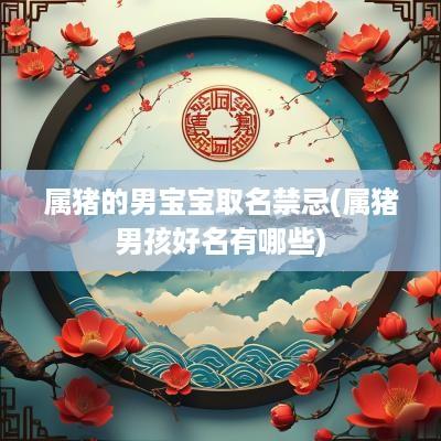 属猪的男宝宝取名禁忌(属猪男孩好名有哪些)
