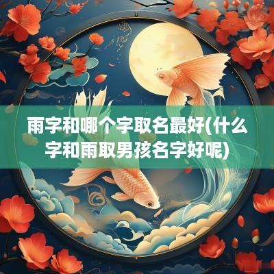 雨字和哪个字取名最好(什么字和雨取男孩名字好呢)
