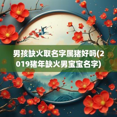 男孩缺火取名字属猪好吗(2019猪年缺火男宝宝名字)