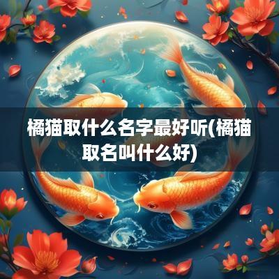 橘猫取什么名字最好听(橘猫取名叫什么好)