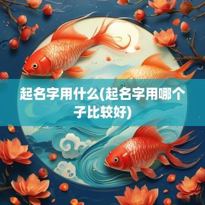 起名字用什么(起名字用哪个子比较好)