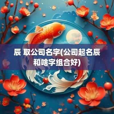 辰 取公司名字(公司起名辰和啥字组合好)